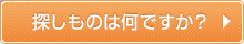 探しものは何ですか？